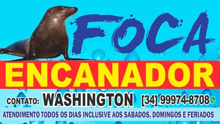 FOCA ENCANADOR 