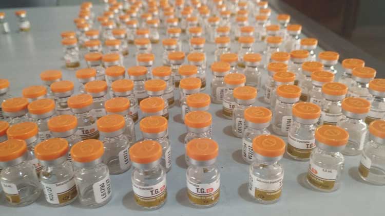 Polícia apreende medicamentos e mercadorias importadas ilegalmente durante abordagem em rodovia
